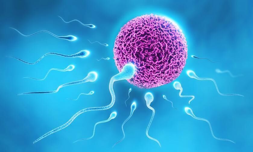 spermatozoa sa komposisyon ng pampadulas sa mga lalaki