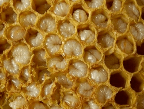 Mga produktong Beekeeping