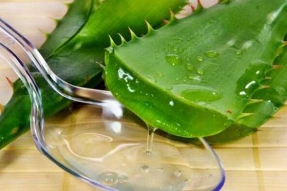 Aloe juice para sa malakas na erections