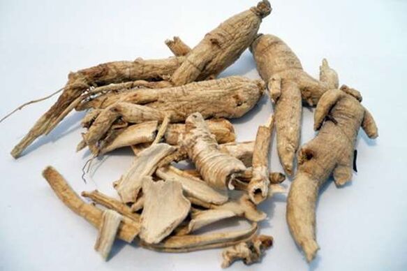 Ginseng ugat upang madagdagan ang potency